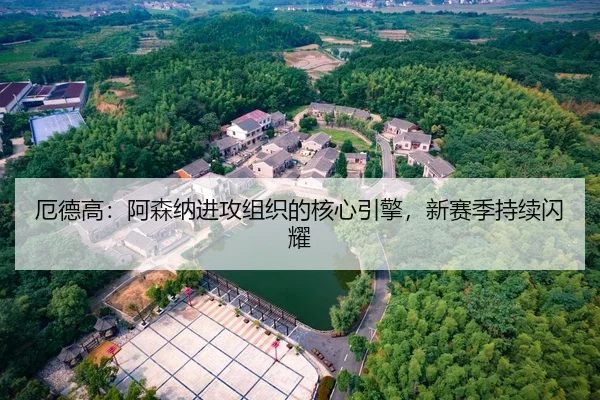 厄德高：阿森纳进攻组织的核心引擎，新赛季持续闪耀